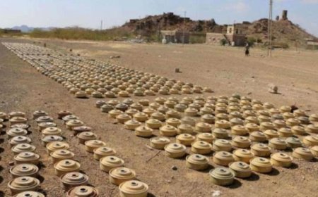 مسام يعلن عن انتزاع 1.470 لغماً وذخيرة حوثية منذ بداية ديسمبر الجاري