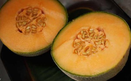 فاكهة الشمام  تثير الذعر بالولايات المتحدة.. قتلت وأصابت المئات !