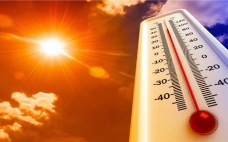 أول نذير شؤم لعام 2024: رقم قياسي لدرجات الحرارة
