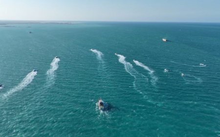 الاعلان عن تعليق لمجموعة بحرية  جميع رحلاتها وسفن تخفي مواقعها