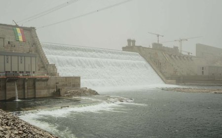 مصر تعلن انتهاء مسار التفاوض مع إثيوبيا حول سد "النهضة " مع ازدياد التوتر بين البلدين