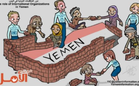 المنظمات هيئة ملاك  وكينونة هلاك