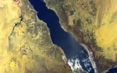 البنتاجون: أكثر من 20 دولة تشارك في تحالف البحر الأحمر بقيادة أمريكا