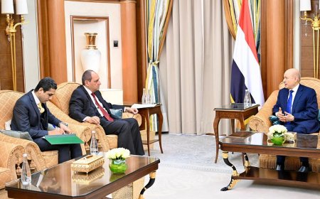 رئيس مجلس القيادة الرئاسي يستقبل السفير المصري