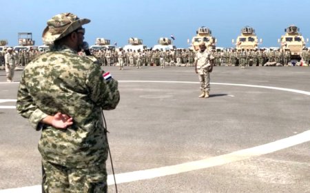 كواليس الساحل الغربي الجديدة.. طلب عسكري للعميد طارق صالح بتشكيل 4 ألوية قتالية جديدة للضباط القادمين من صنعاء (تفاصيل)!!