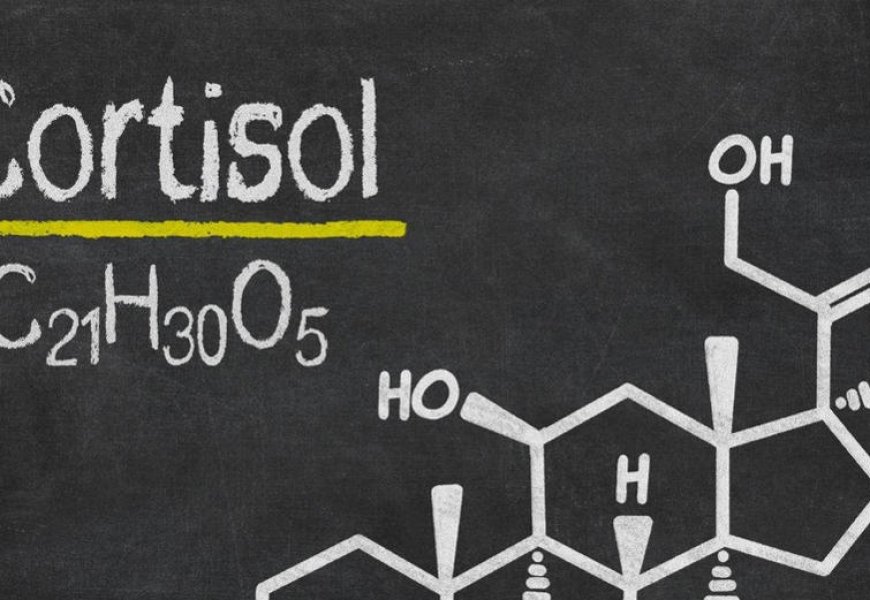 هرمون الكورتيزول وعلاقته بالسمنة والاكتئاب