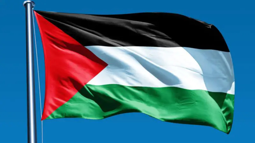 علم فلسطين يتسبب بمشاجرة كبيرة في لندن.. فيديو