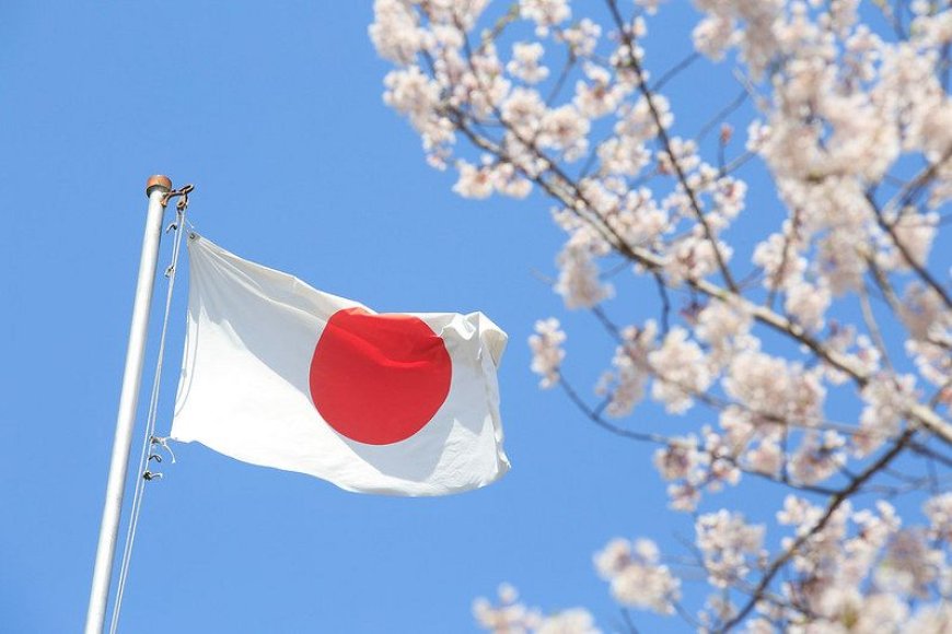 اليابان تقدم ٣ ملايين دولار لتشجيع عملية السلام في اليمن
