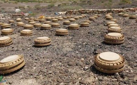 نزع 3015 لغماً وذخيرة حوثية خلال ديسمبر
