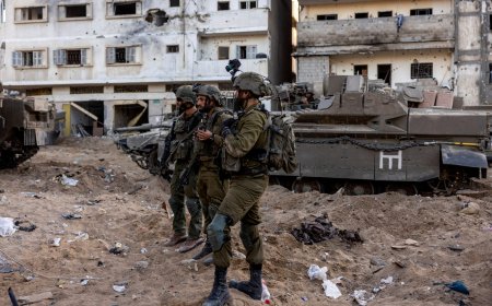 ضابط بجيش الاحتلال يختطف رضيعة فلسطينية بعد استشهاد أسرتها في غزة