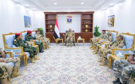 نائب رئيس مجلس القيادة طارق صالح يلتقي قادة المحاور في محافظتي تعز والحديدة