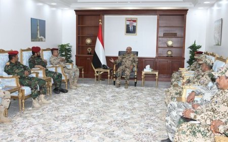 طارق صالح يشدد على رفع الجاهزية والاستعداد الجيد في جبهات تعز والحديدة
