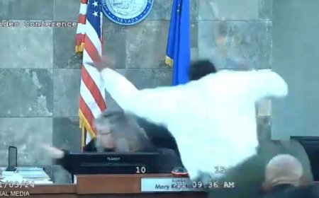 فيديو على طريقة "ناشونال جيوغرافيك".. متهم ينقضّ على قاضية