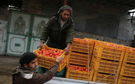 غضب في الأردن بسبب تصدير خضراوات وفاكهة لإسر.ائيل.. ماهو رد الحكومة الأردنية ؟