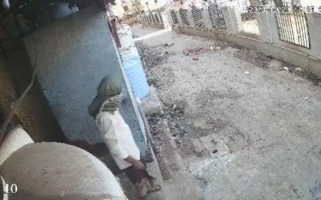 فيديو لسارق كاميرات المراقبة في عدن