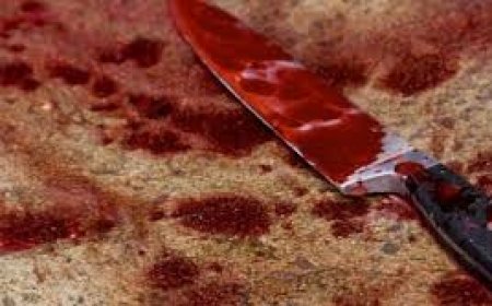 فاجعة كبيرة: رفض الزواج منها.. فقتله إخوتها وذبحوها