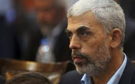 إسرا.ئيل تعرف مكان السنوار بدقة.. وهذا ما يمنع استهدافه