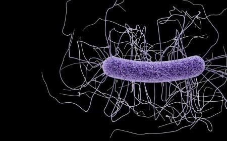 دراسة: ميكروبات أمعائنا تفرز مادة تمنع زيادة الوزن المفرط !