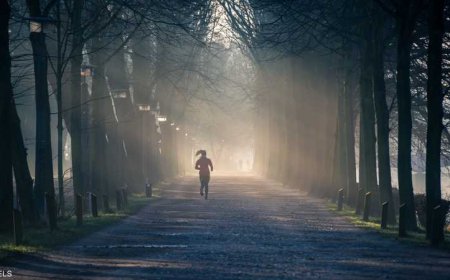 هل التمارين الصباحية مفيدة لخسارة الوزن؟