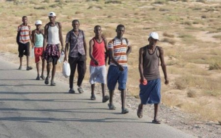 اليمن: 2023 يسجل أعلى مستوى لعدد المهاجرين الوافدين في الأعوام الأربعة الأخيرة