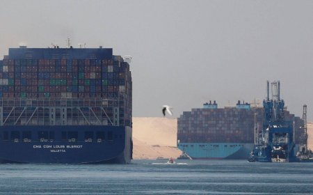 تجار التجزئة يبحثون عن بدائل للشحن البحري في البحر الاحمر .. تفاصيل 