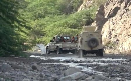 ألوية العمالقة الجنوبية تتصدى لهجوم حوثي في الساحل الغربي