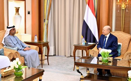 رئيس مجلس القيادة الرئاسي يستقبل سفير دولة الامارات العربية المتحدة