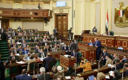 صدمة ..ما فعلته نائبة مصرية اصبح حديث مواقع التواصل .. تفاصيل