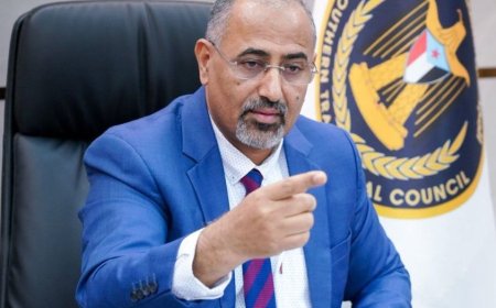 رئيس المجلس الانتقالي الجنوبي: الضربات الجوية ضد الحوثيين ليست كافية