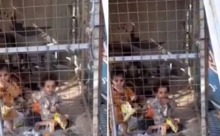 فيديو : أم تتجرد من انسانيتها وتحبس طفليها بقفص