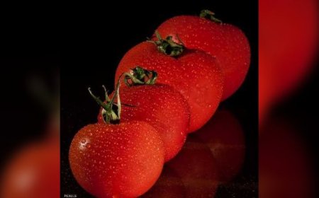 "سر" في الطماطم يقلل خطر الإصابة بارتفاع ضغط الدم