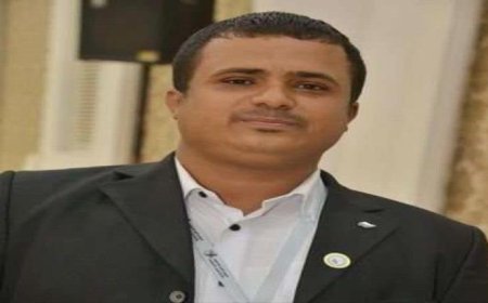 عبدالرحمن أنيس يعلق على منع الحوثيين هبوط طائرة في مطار المخا