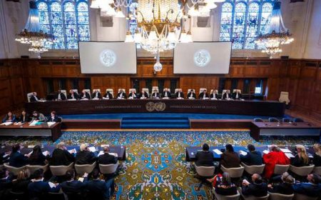 مواقف الدول من قرار محكمة العدل الدولية بشأن إسر.ائيل