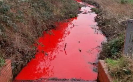 ضجة على التواصل من (نهاية العالم).. النهر الدموي الغريب يرعب البريطانيين