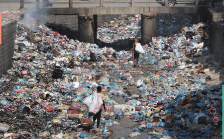 حياة بواسطة القناني الفارغة.. مكبات النفايات حين تُعيل أسرًا في عدن
