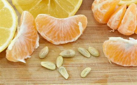 تناول اليوسفي بعد الأكل وشاهد ما يحدث لجسمك.. مفاجأة صادمة