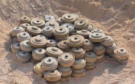 تفكيك 733 لغماً حوثياً خلال الأسبوع الفائت