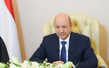 العليمي: حرية الملاحة في البحر الأحمر مسؤولية كل الدول