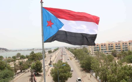 الوالي يدعو جنوب افريقيا للتدخل لحل مشاكل جنوب اليمن