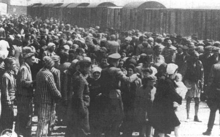 الهولوكوست أو المحرقة اليهودية: ماذا نعرف عنها؟