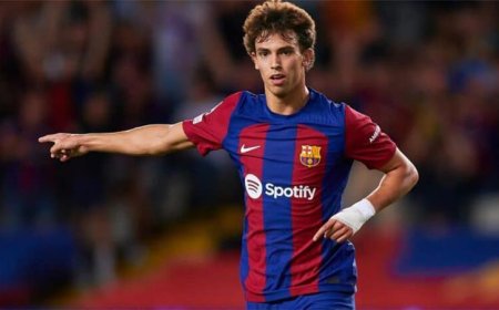 تقارير توضح مدة غياب جواو فيليكس عن برشلونة