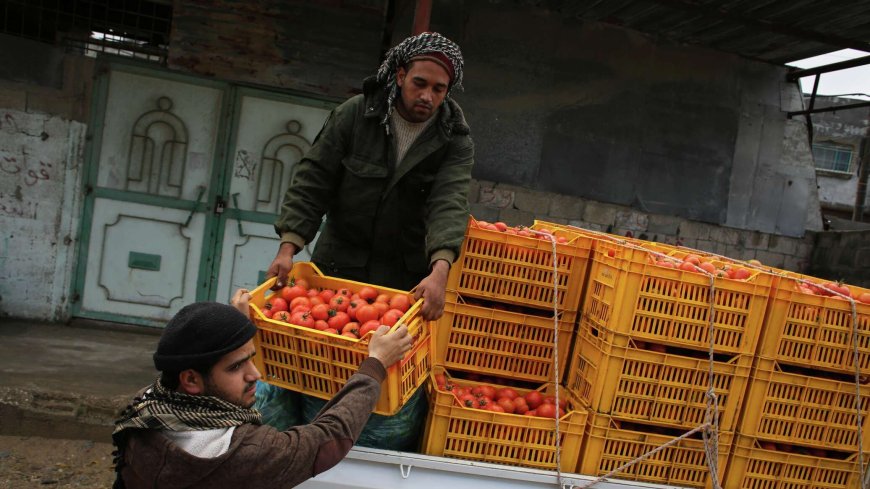 غضب في الأردن بسبب تصدير خضراوات وفاكهة لإسر.ائيل.. ماهو رد الحكومة الأردنية ؟