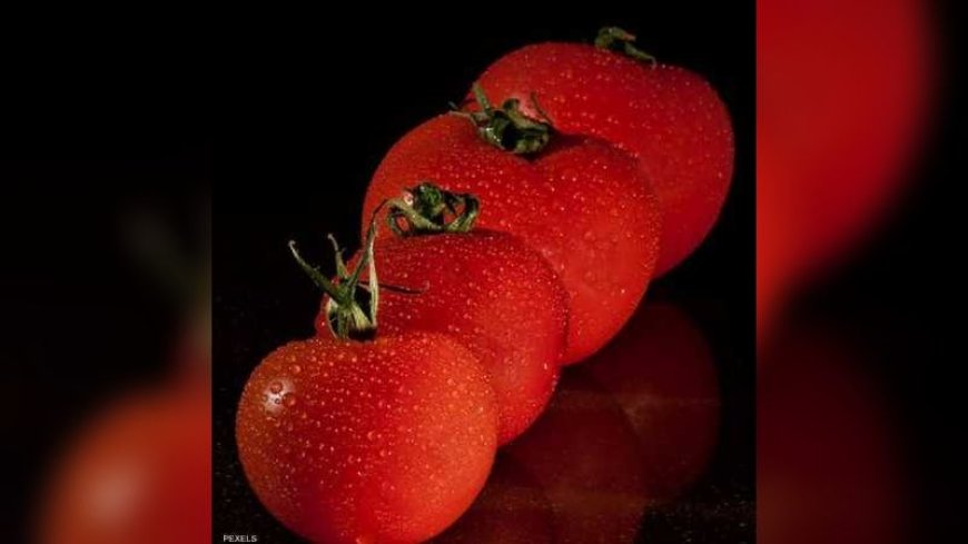 "سر" في الطماطم يقلل خطر الإصابة بارتفاع ضغط الدم