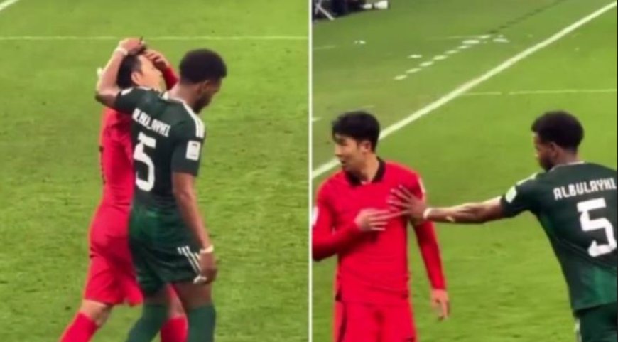 بالفيديو.. علي البليهي يدفع لاعب كوريا الجنوبية (سون) ويشد شعره أثناء المباراة