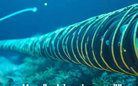 تقرير خطير موثق بالفيديو.. كابلات الإنترنت البحرية هدف الحوثيين المقبل