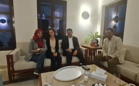 اللجنة الوطنية للتحقيق تناقش مع السفيرة الفرنسية لدى اليمن فرص المساءلة وإنصاف الضحايا