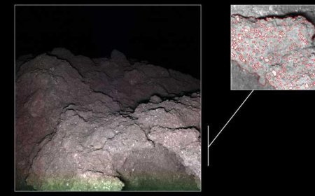 اكتشاف مثير.. العثور على بقايا حياة قديمة في كويكب بعيد