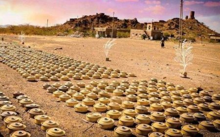 تقرير حقوقي: خطر الألغام الحوثية سيستمر لـ90 عاماً