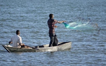 أمريكا تعلن تدريب 850 يمنيًا على مهارات الصيد