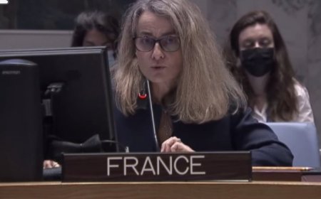 فرنسا: يجب على الحوثيين وقف أنشطتهم المزعزعة للاستقرار في البحر الأحمر